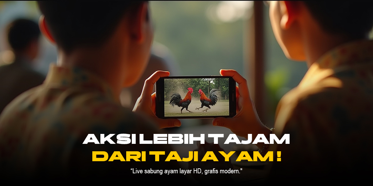 Mengenal Ayam Bangkok: Raja Sabung Ayam dalam SV388